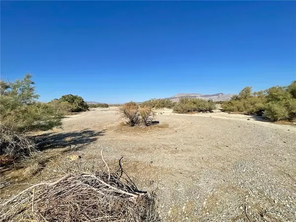 Pahrump, NV 89060,561 Cougar Place