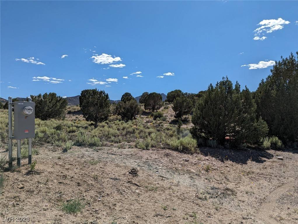 Lot #3 O'Callaghan Ct., Pioche, NV 89043