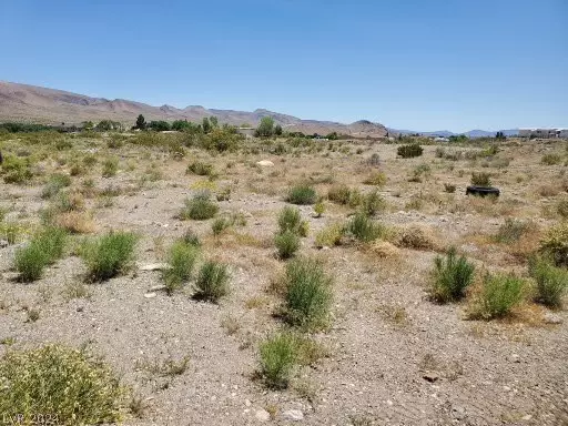 Park, Alamo, NV 89001