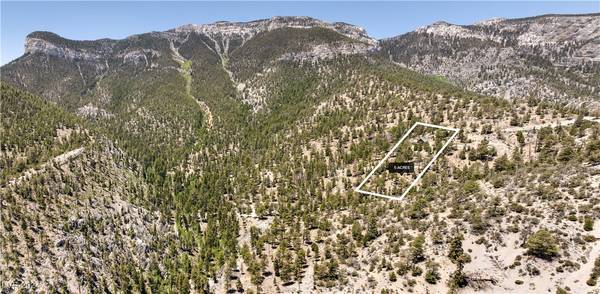 APN 128-07-410-001, Mount Charleston, NV 89124