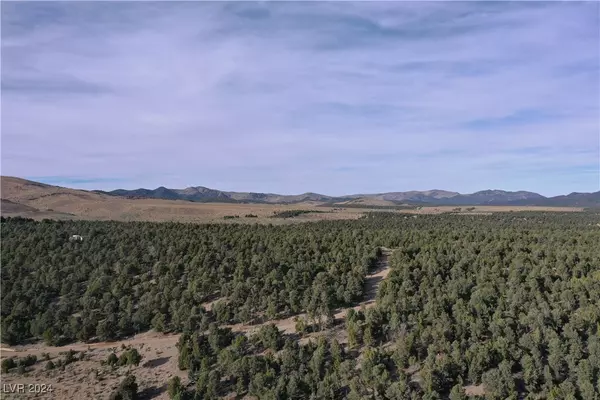 Pioche, NV 89043,0 Buckhorn Ranch