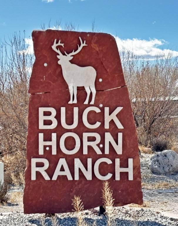 2100 Buckhorn Road, Alamo, NV 89025