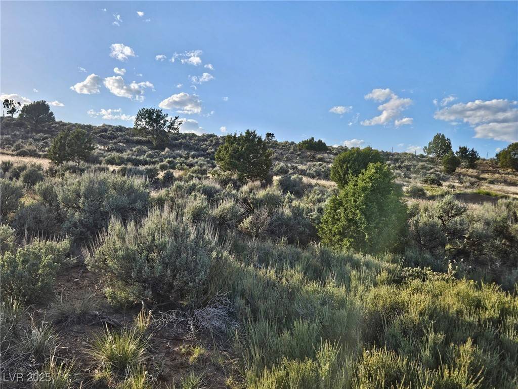 T29S R7W S4, Beaver, UT 84713