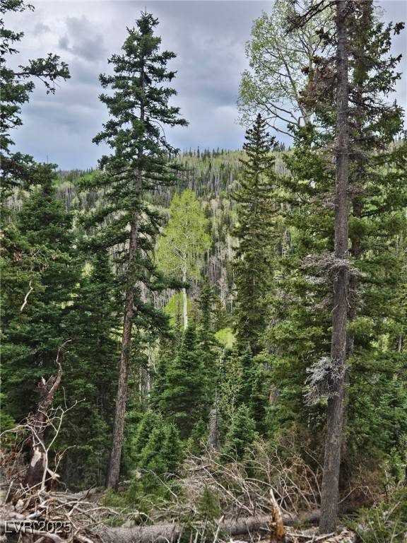 Lot 39 West Village, Beaver, UT 84713