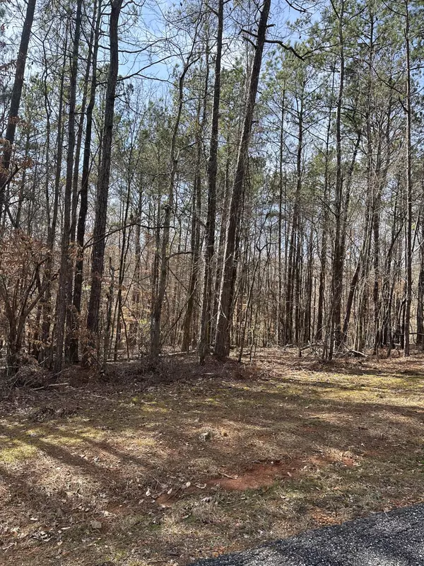 10 Lots in StillWaters, Dadeville, AL 36853