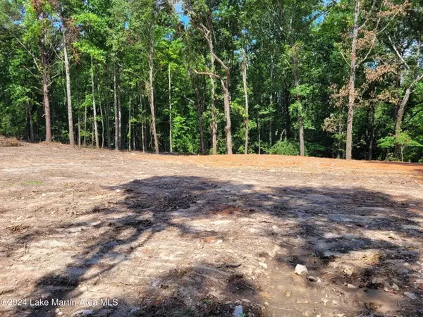 Tallassee, AL 36078,Lot 2 E Cotton Rd