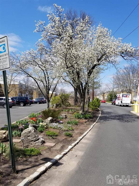 Edison, NJ 08837,172 Evergreen RD #17B