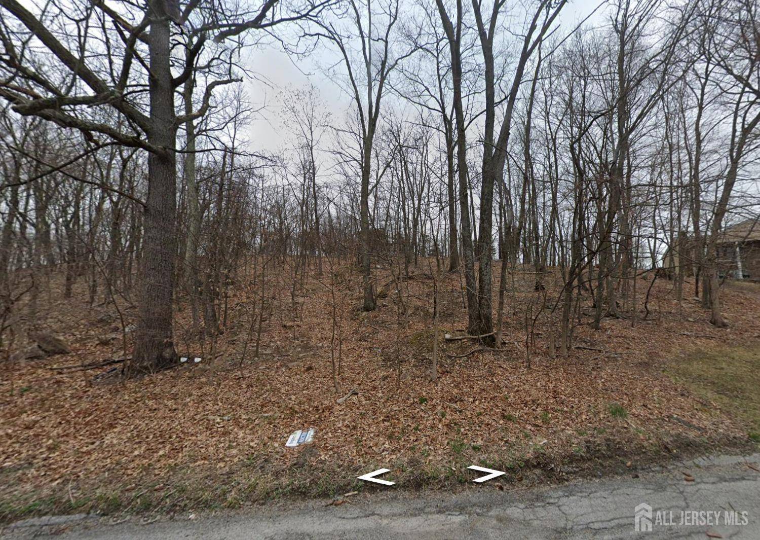 22 Pochuck Mountain DR, Vernon, NJ 07418