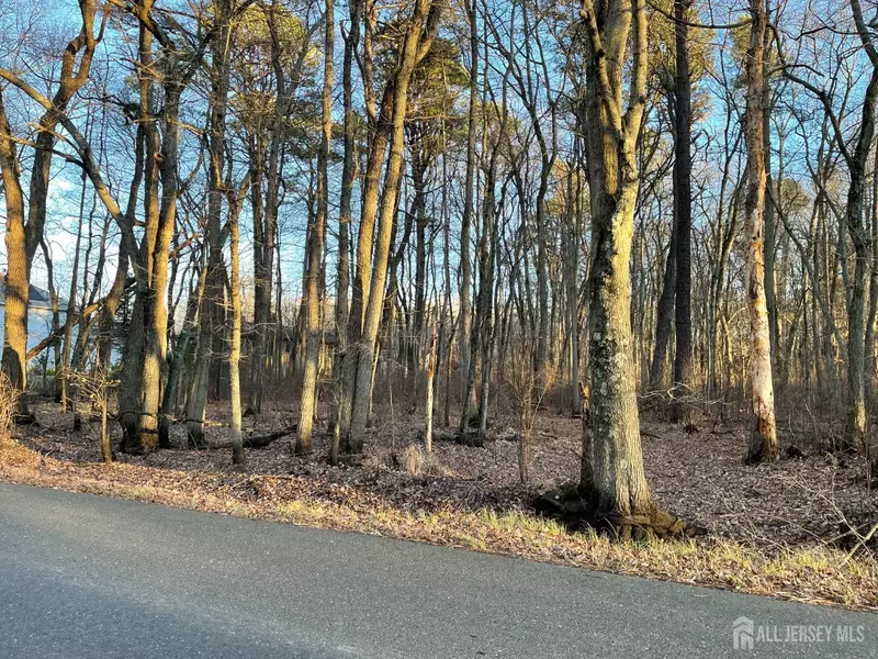 35 Birch ST, Old Bridge, NJ 08857