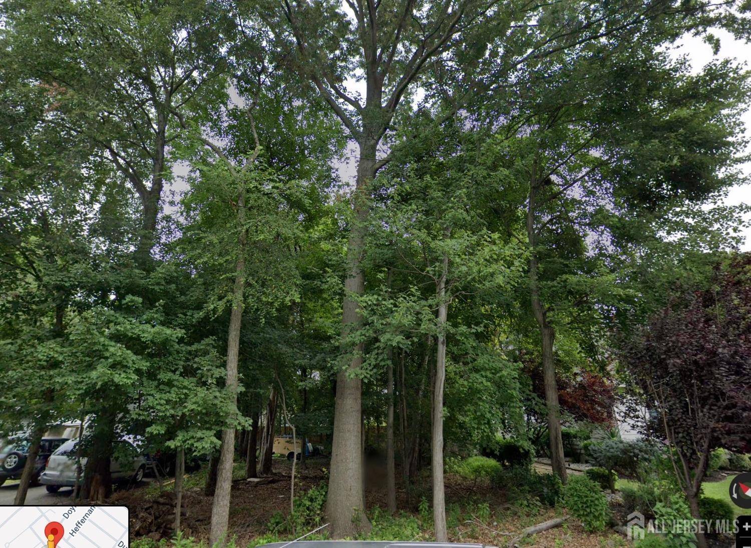 41 Chicago AVE, Piscataway, NJ 08854