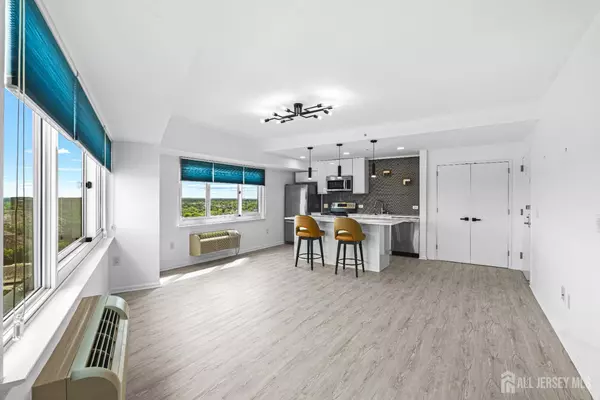 New Brunswick, NJ 08901,110 Somerset ST #2114