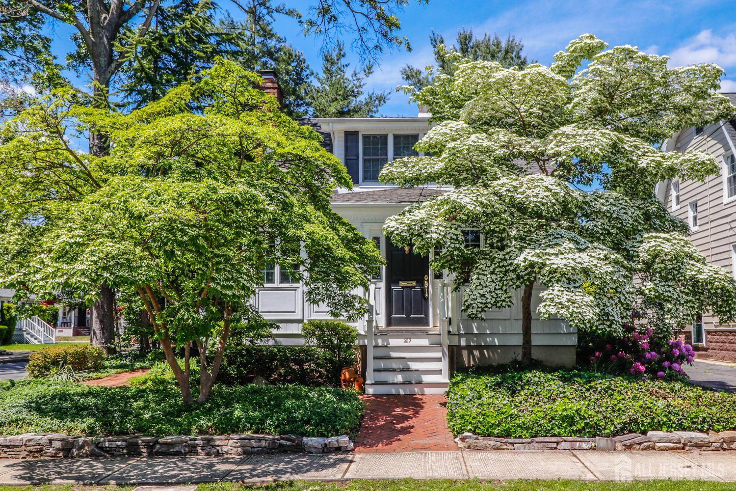 Metuchen, NJ 08840,217 Midland AVE
