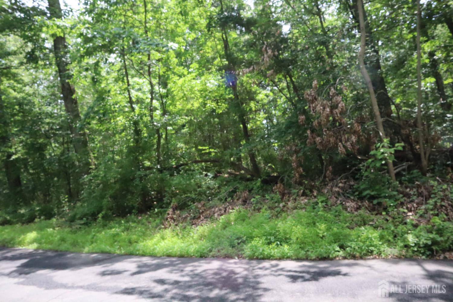 East Amwell, NJ 08551,181 Mountain RD
