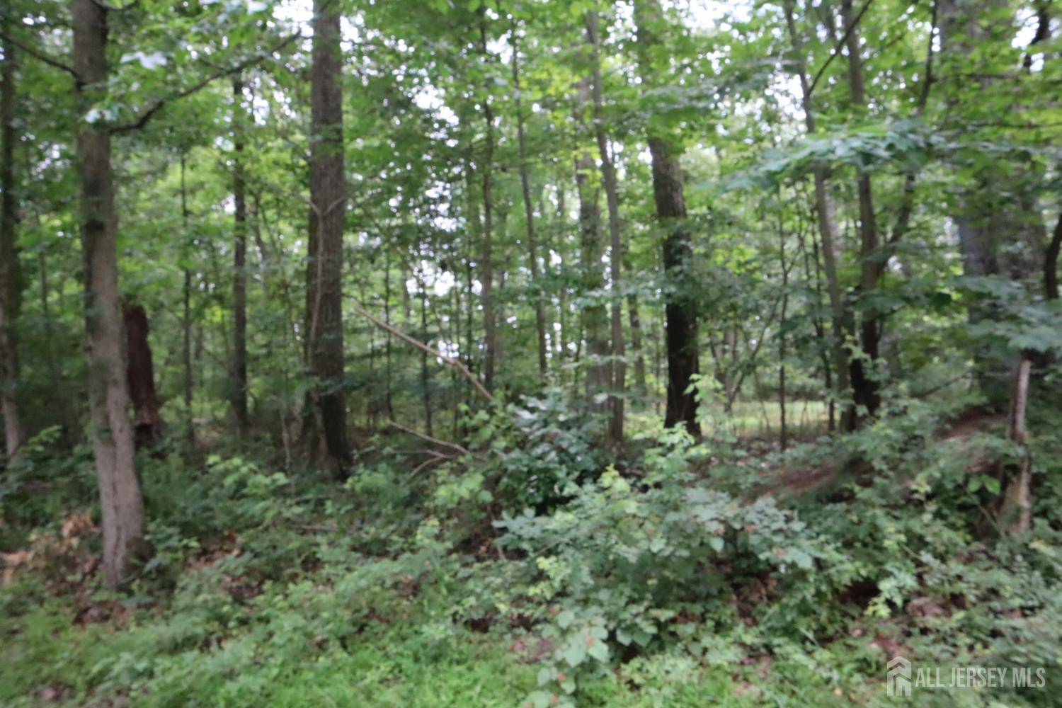 181 Mountain RD, East Amwell, NJ 08551