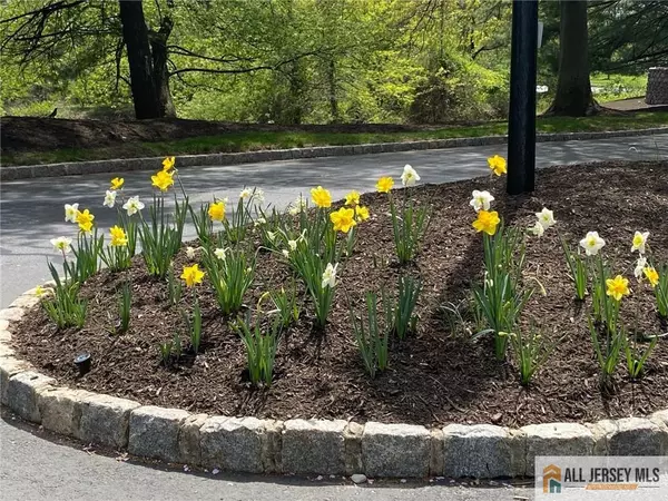 Edison, NJ 08817,121 Waterford DR