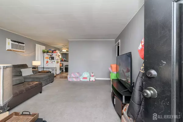 Edison, NJ 08817,7 Lynn CT