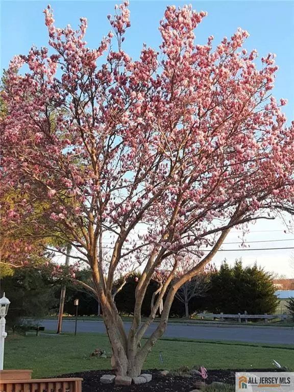 Monroe, NJ 08831,19 Jurgelsky RD