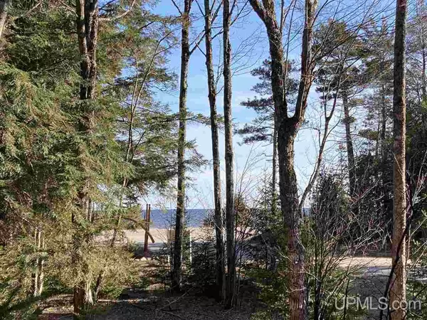 Manistique, MI 49854,TBD Hemlock Views Trail