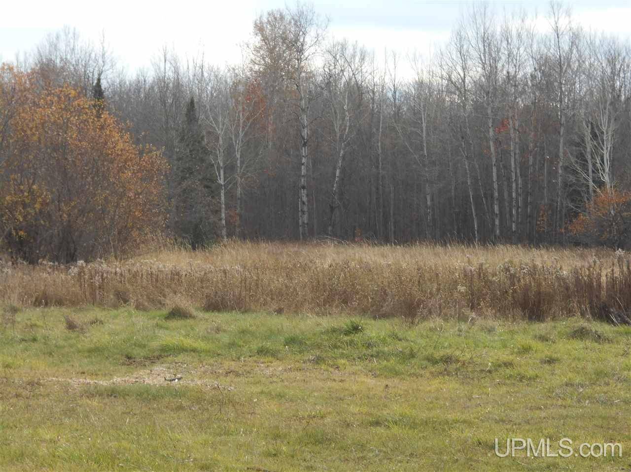 TBD Firesteel Rd, Ontonagon, MI 49953