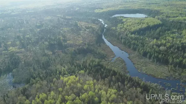 Michigamme, MI 49861,180 Acres Spruce River