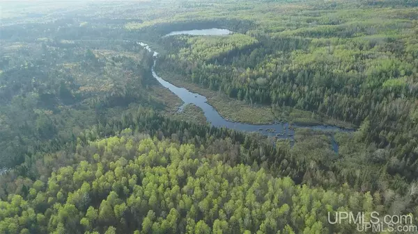 Michigamme, MI 49861,180 Acres Spruce River