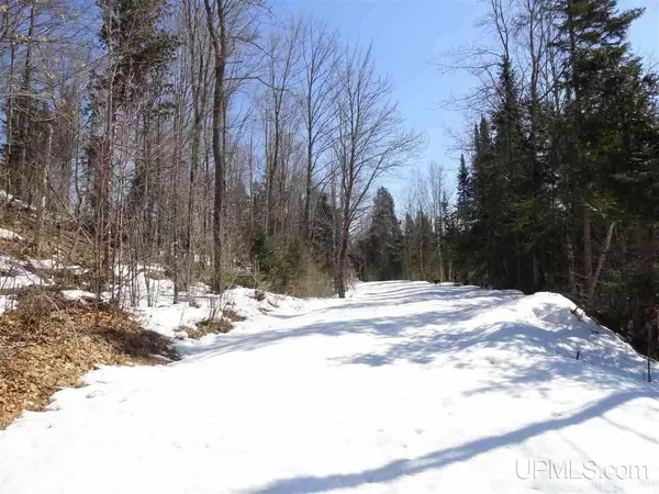 Michigamme, MI 49861,180 Acres Spruce River