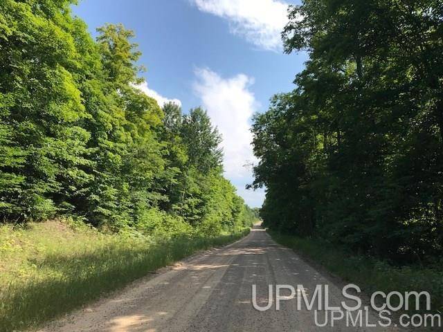 TBD Rock River Road, Deerton, MI 49822