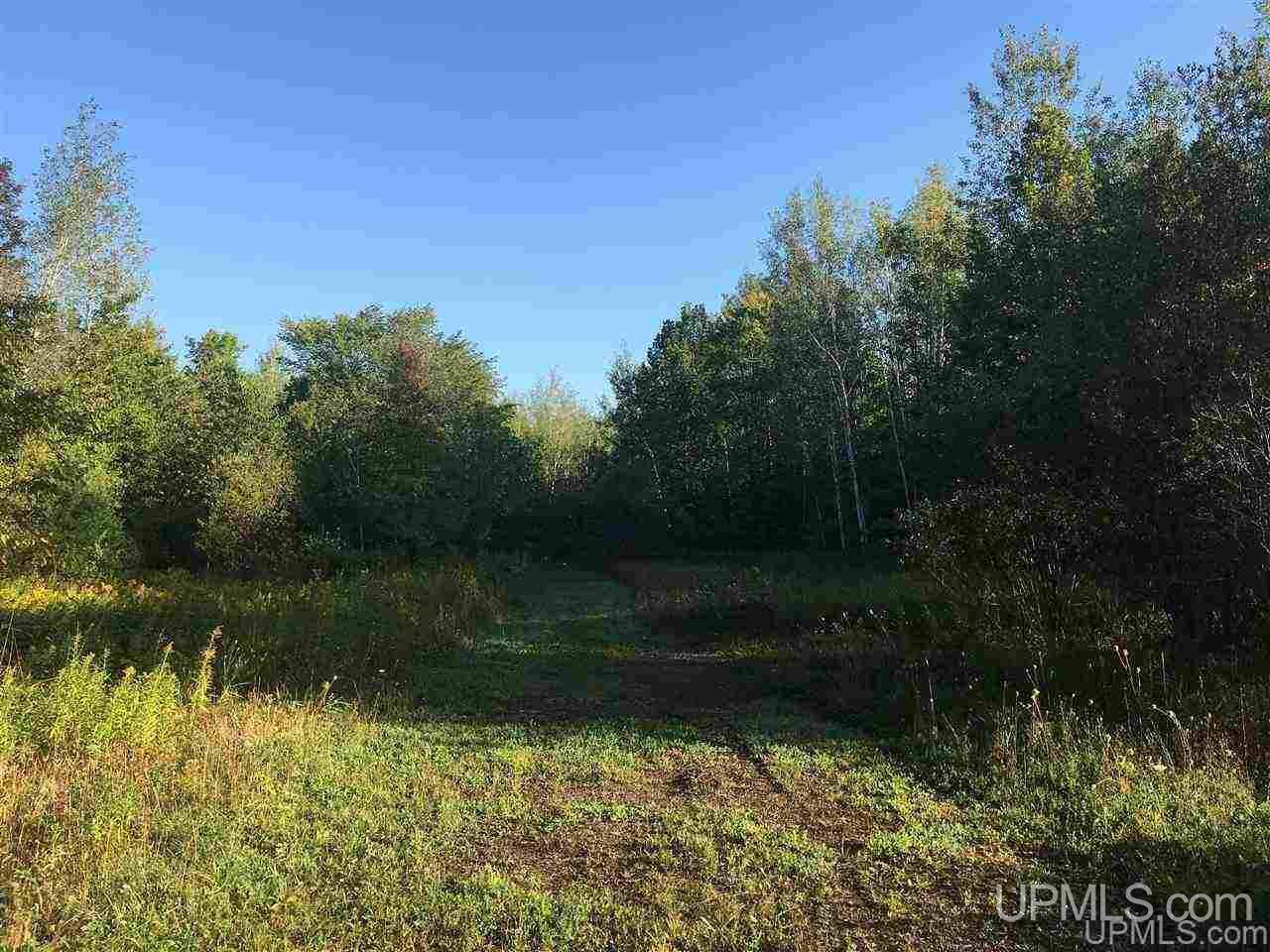 TBD LP Walsh Rd, Ontonagon, MI 49953