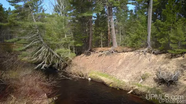 Grand Marais, MI 49839,0000 Sandy Ln