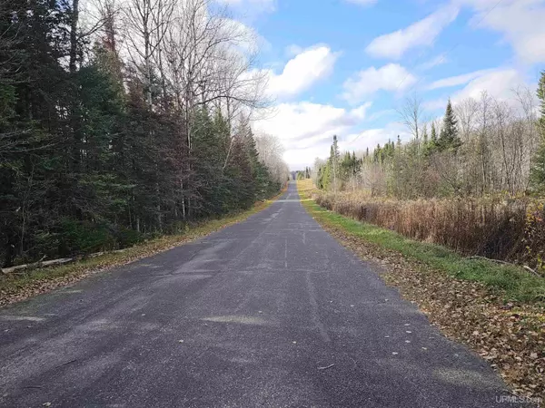2ac Cataldo Drive, Iron River, MI 49935