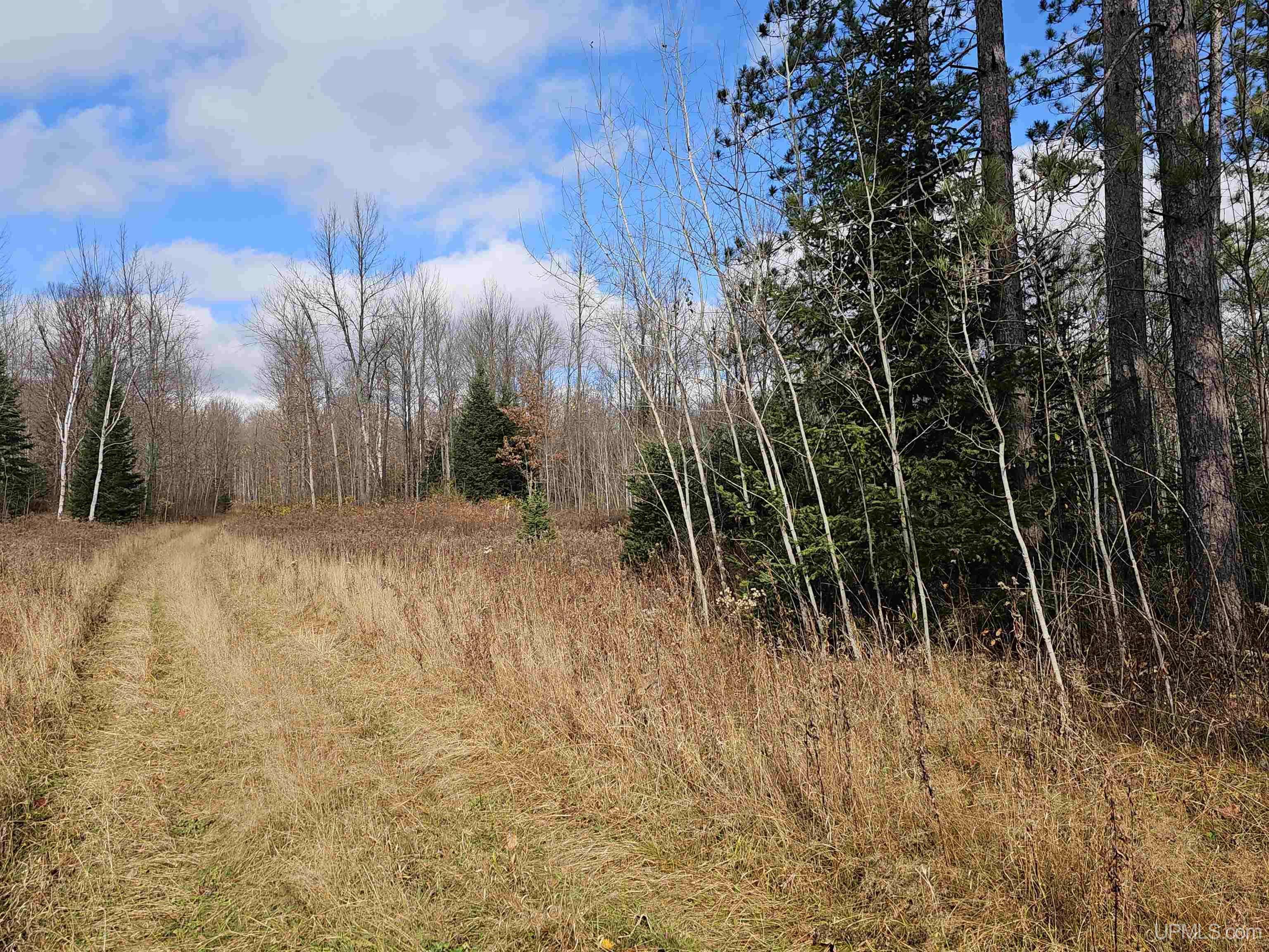 5.36ac Cataldo Drive, Iron River, MI 49935