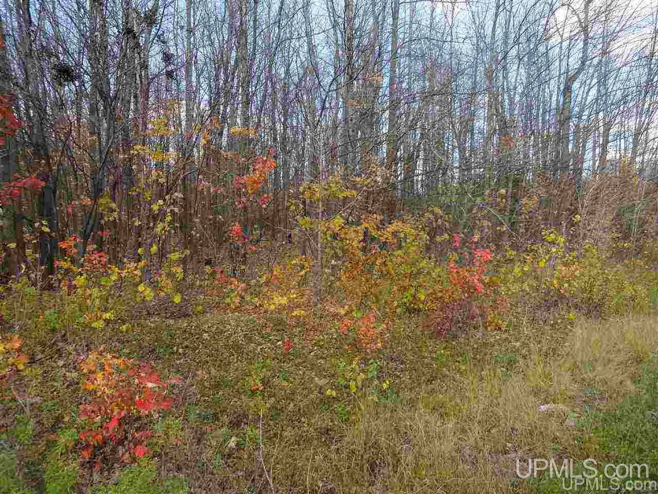 TBD M28, Bergland, MI 49910