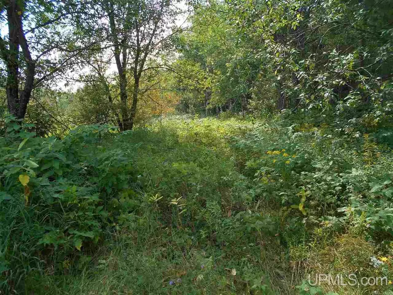 TBD Town Road 58 Rd, Armstrong Creek T-wi, WI 54103