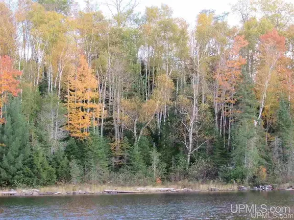 Michigamme, MI 49861,Lot 13 East Fence Lake Dr