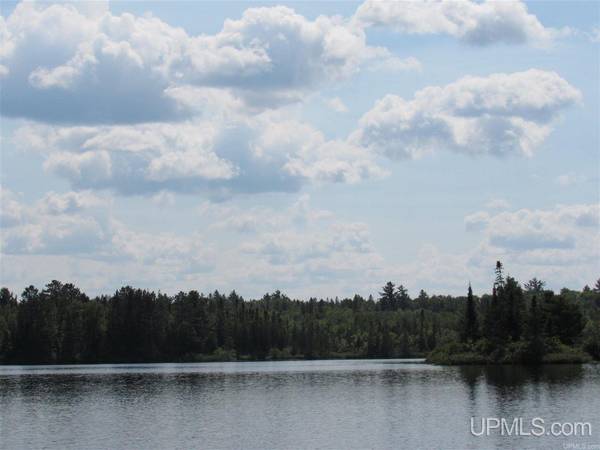 TBD Off Berry Road, Michigamme, MI 49861