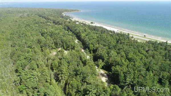 Manistique, MI 49854,TBD Hemlock Views Tr