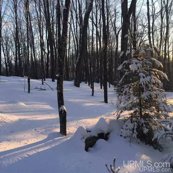 Michigamme, MI 49861,Lot 39 North Fence Lake Dr