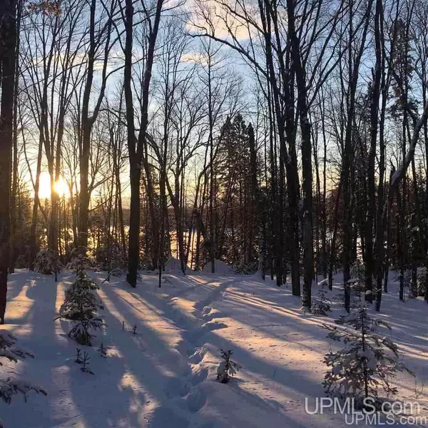 Michigamme, MI 49861,Lot 39 North Fence Lake Dr