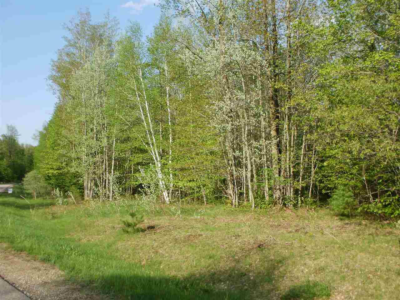 Cadillac, MI 49601,Lot 11 Spring Valley Drive