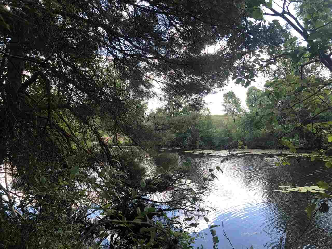 Lake Isabella, MI 48893,2011 Channel Drive West
