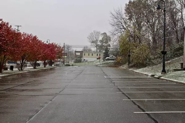 Mount Pleasant, MI 48858,411 W Broadway Street