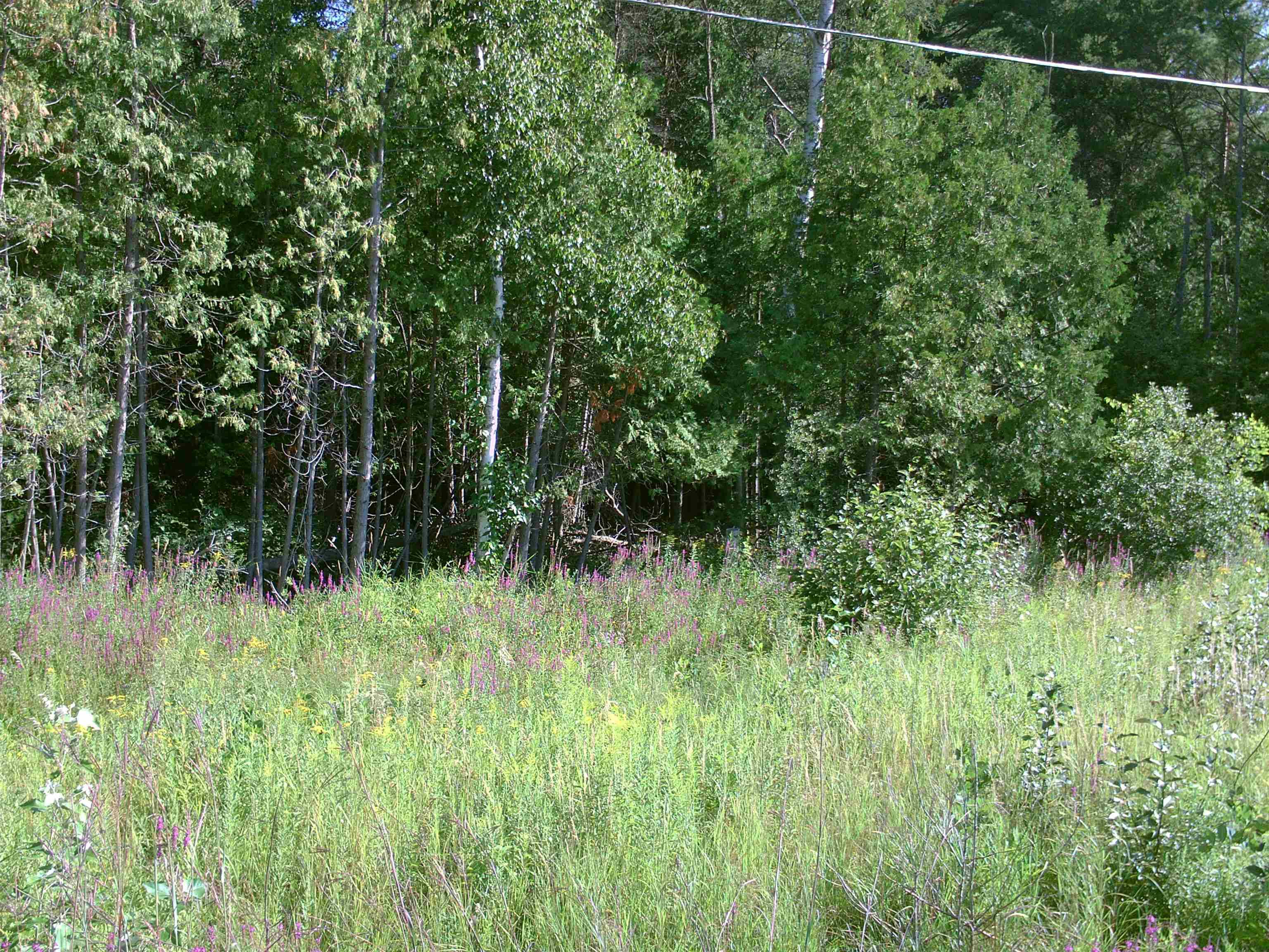 0 M-55, Tawas City, MI 48763