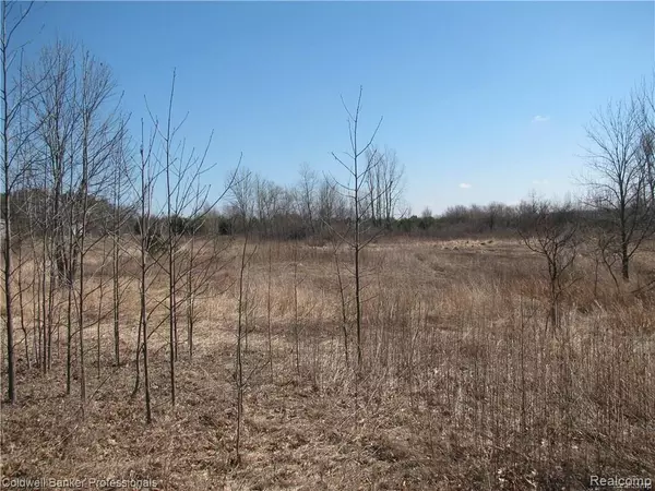 North Branch, MI 48461,Sec 25 Parcel B Fish Lake Road