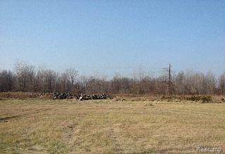 Romulus, MI 48174,6130 WAYNE Road