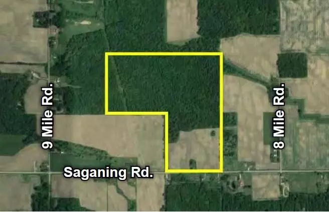 190 W SAGANING Road, Bentley, MI 48613