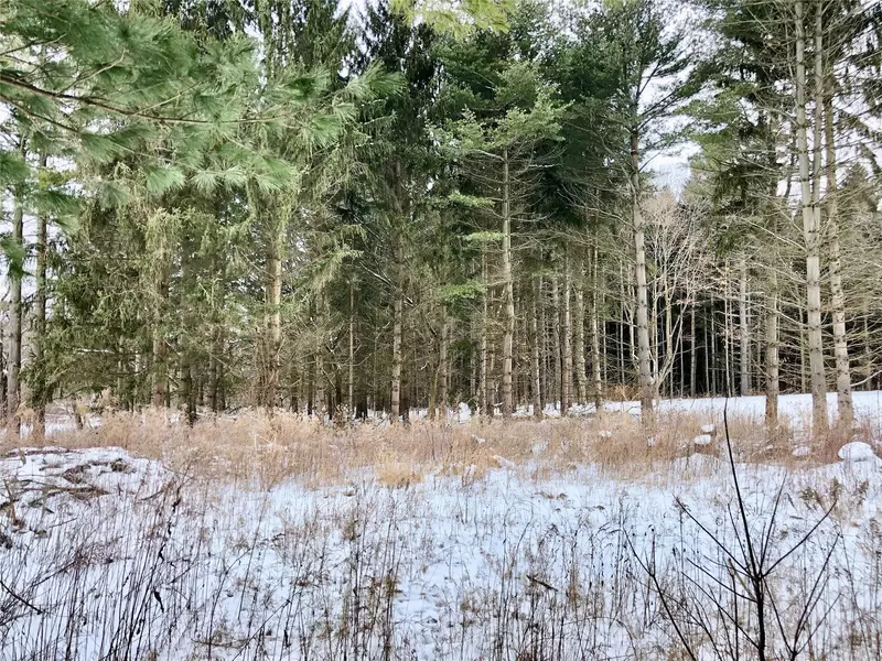 Lot 4 HIGH HILLCREST Drive, Howell, MI 48843