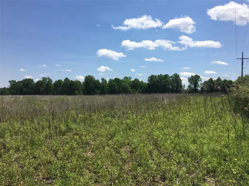 Parcel 5 CORNEIL, Imlay City, MI 48444