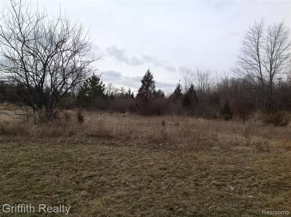 Howell, MI 48843,VL MASON RD
