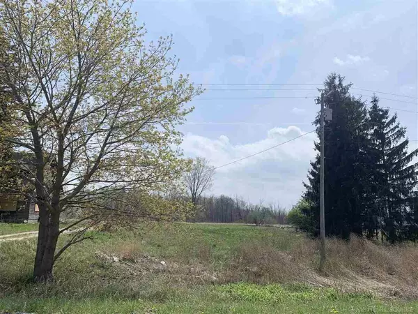 Brown City, MI 48416,16433 Dudley Road