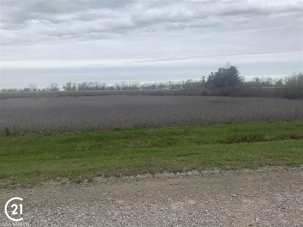 Imlay City, MI 48444,0 Pheasant Rdg